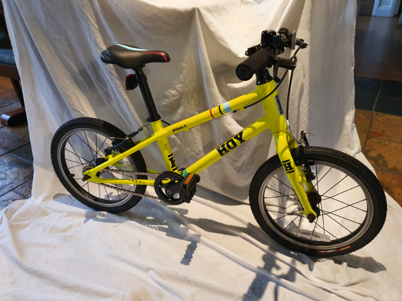 hoy childs bike